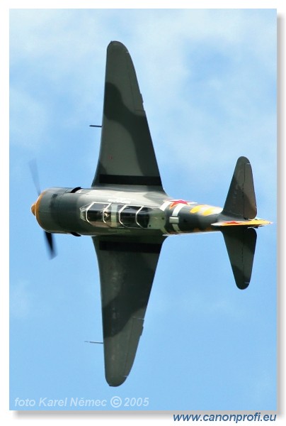 Victory Day Duxford 2005