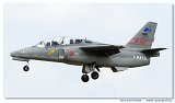 Aermacchi M-311   