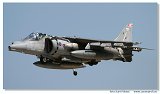Harrier 