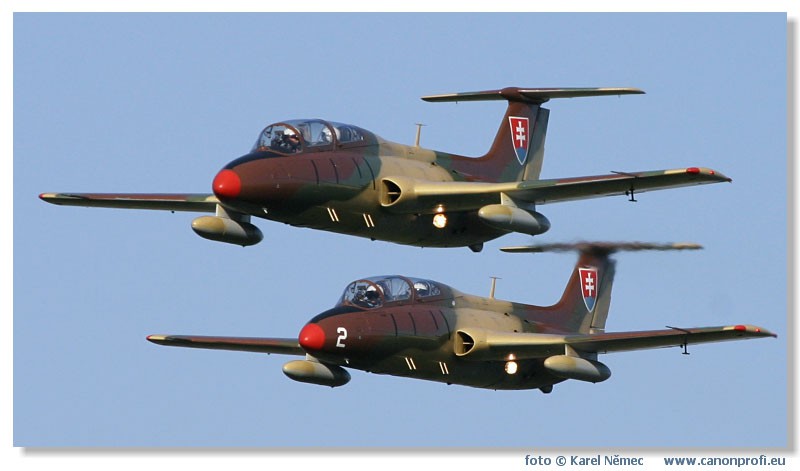  Lenie s Delfnom 2003