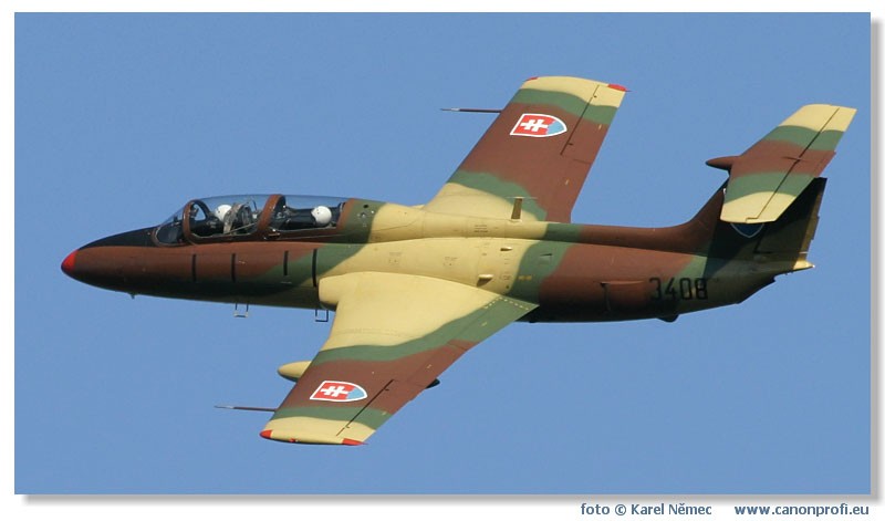  Lenie s Delfnom 2003