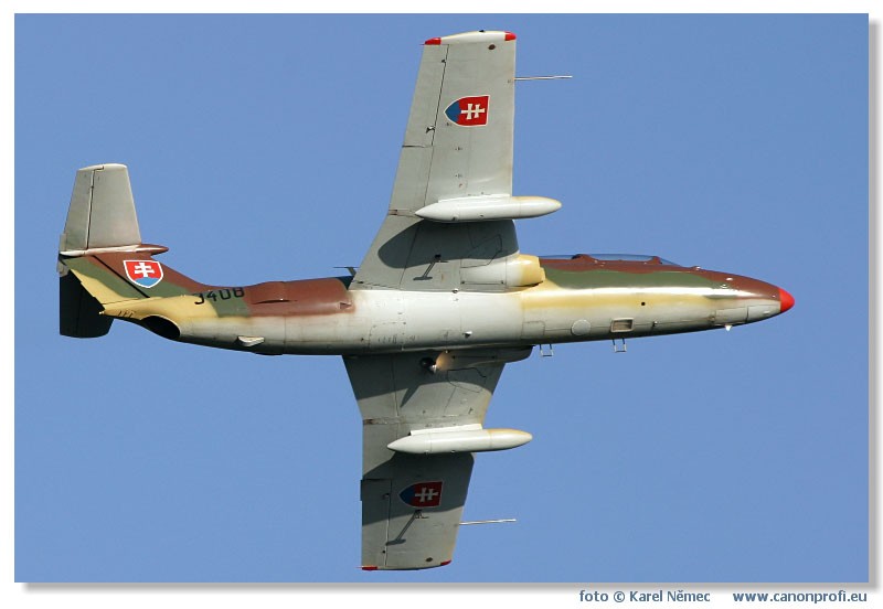  Lenie s Delfnom 2003