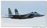 F-15D 