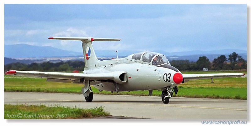 CIAF Hradec Krlov 2001