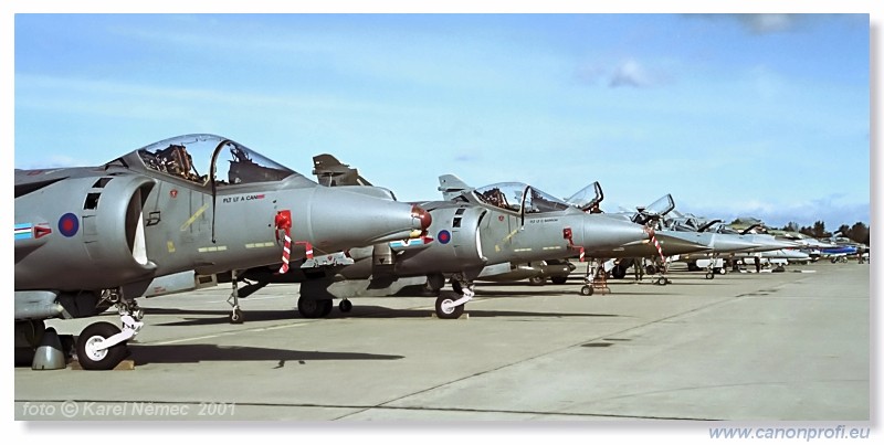 CIAF Hradec Krlov 2001