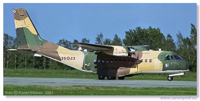 CIAF Hradec Krlov 2001