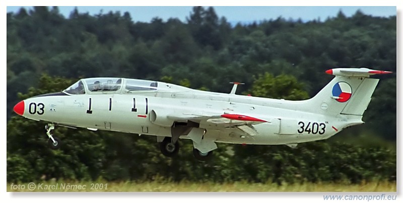 CIAF Hradec Krlov 2001