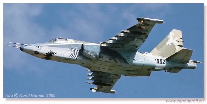 2000 - CIAF Hradec Krlov