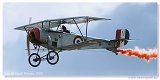 Nieuport XI 