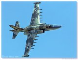Sukhoi Su-25K 